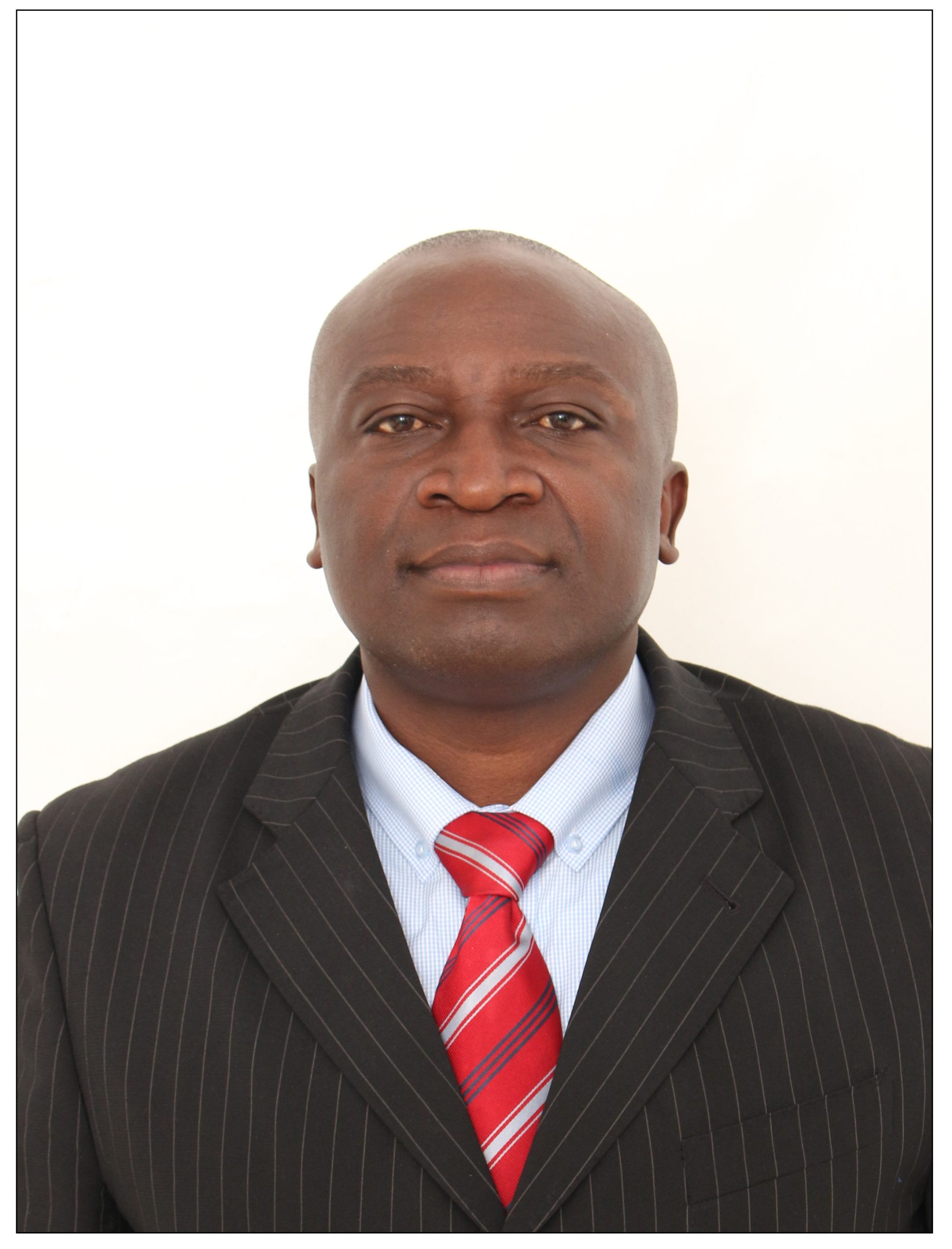 Mr. Boniface Mwamelo